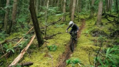 Specialized Gambit MIPS Full Face MTB Helmet - White/Sage -Castelli Store 60222 10310