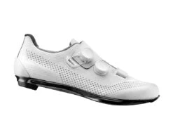 Giant Surge Pro Road Shoes - Chromaflair
